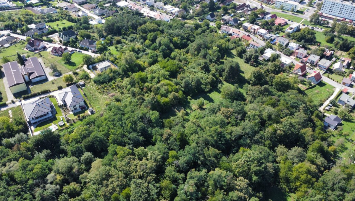 dji_export_1662554286014