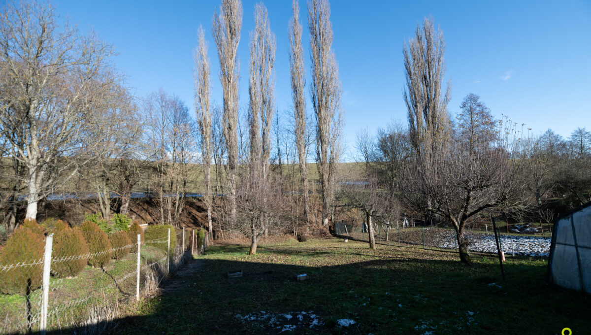 DSC_6729