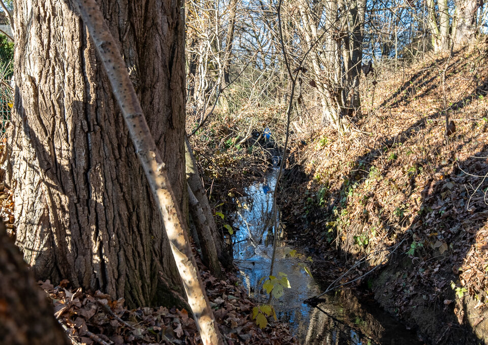 DSC_6747-HDR