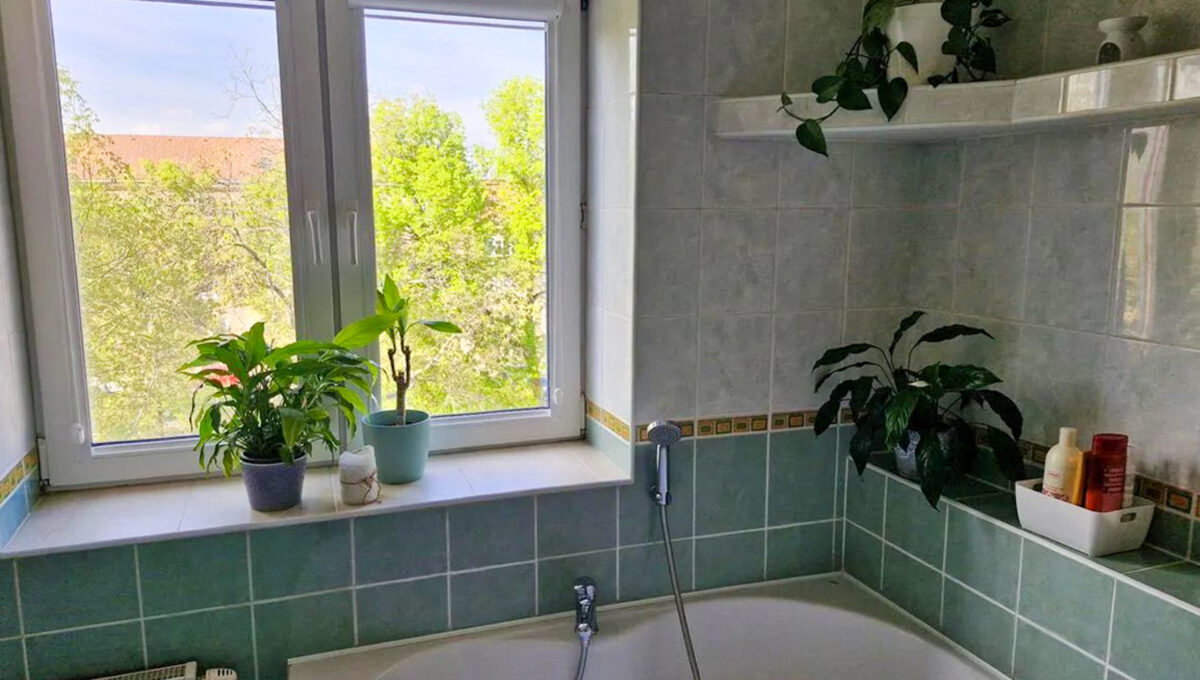 PHOTO-2025-09-15-15-49-17