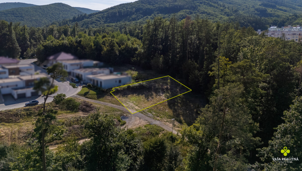 dji_fly_20250720_171102_0316_1753024306646_photo-Edit