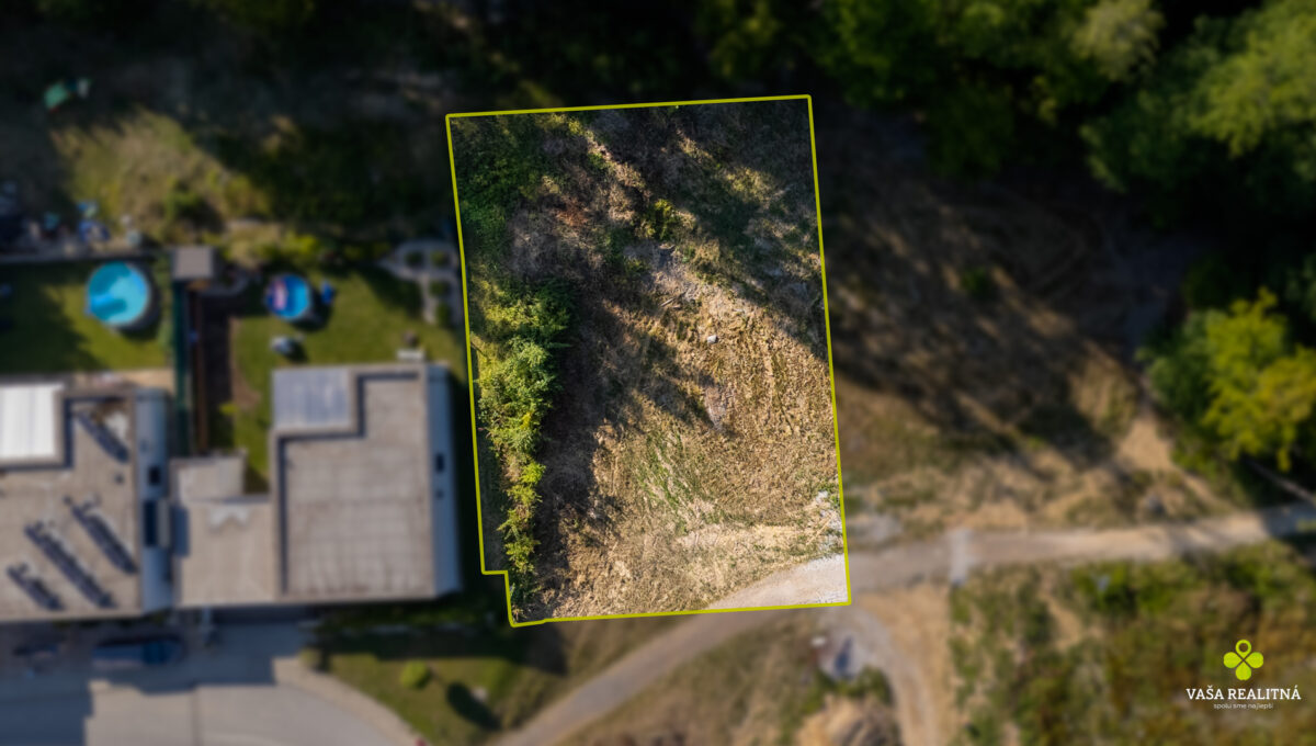 dji_fly_20250720_171234_0321_1753024299375_photo-Edit (1)