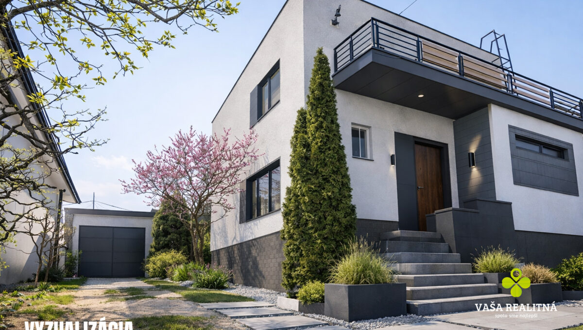 Modern minimalist home with rooftop terrace