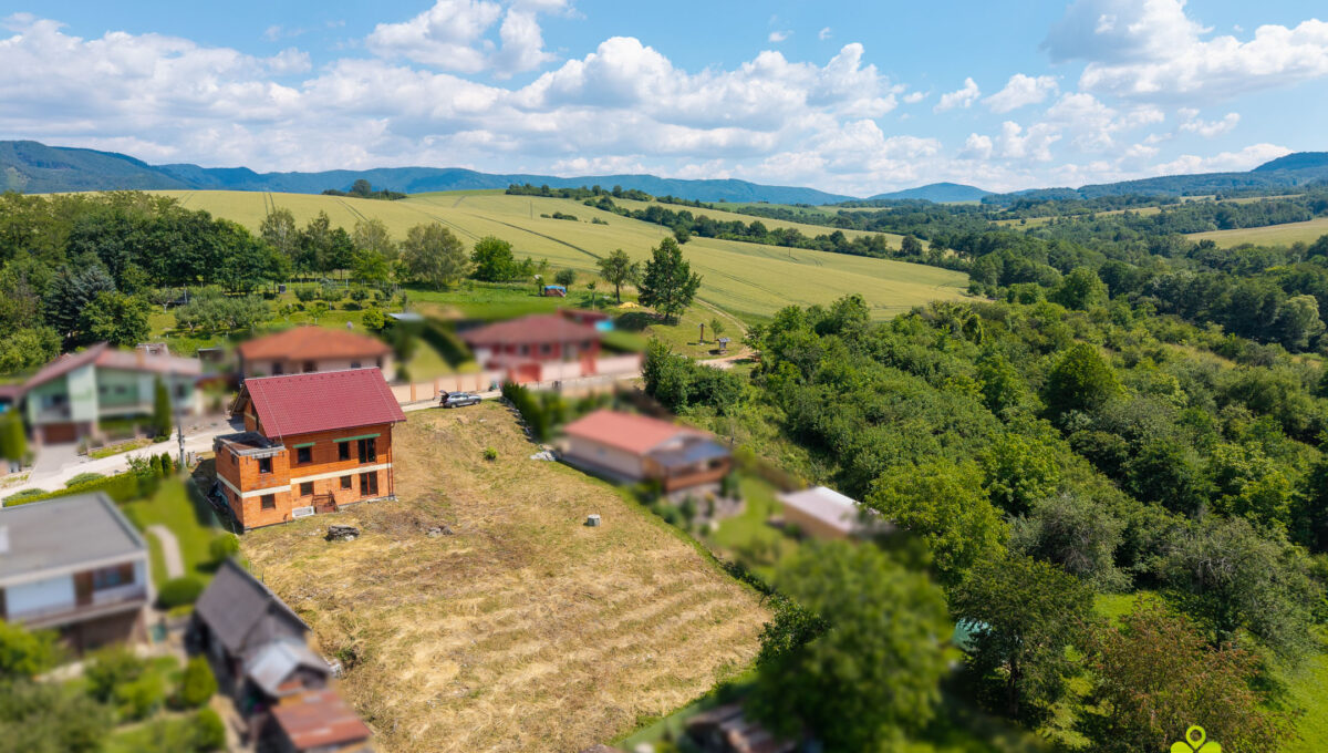 DJI_20260619133153_0121_D-Edit