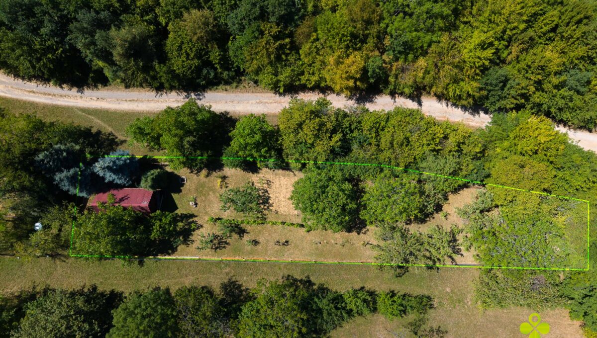 DJI_20260812122541_0309_D-Edit
