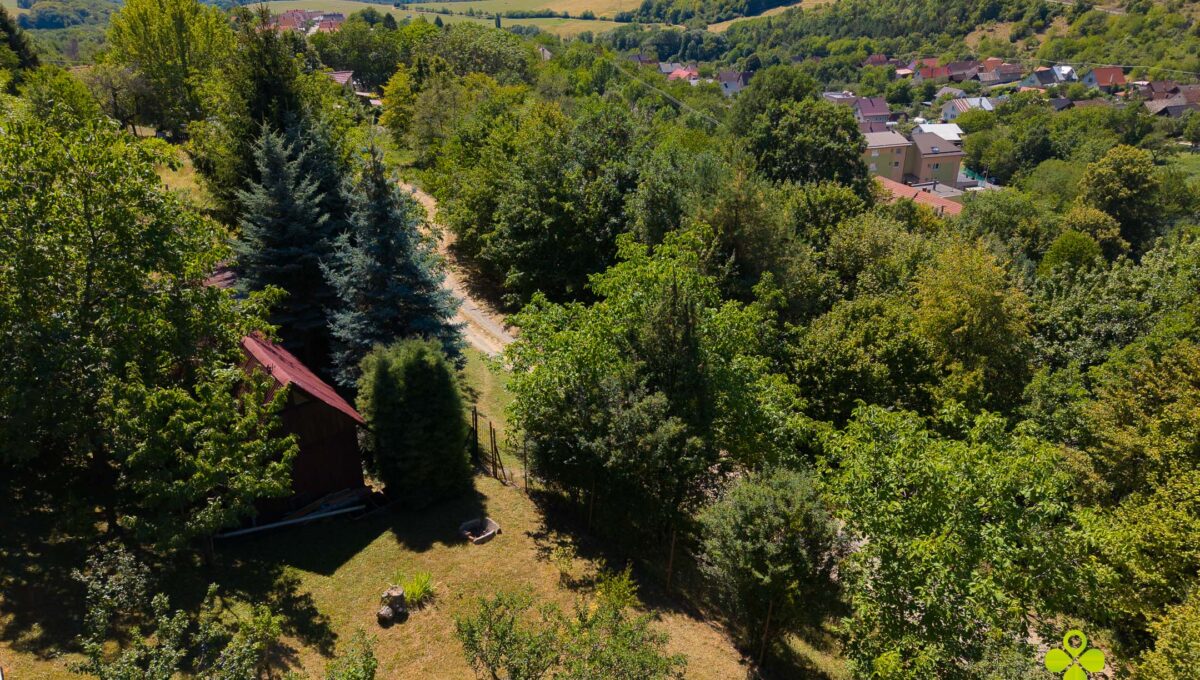 DJI_20260812122628_0313_D