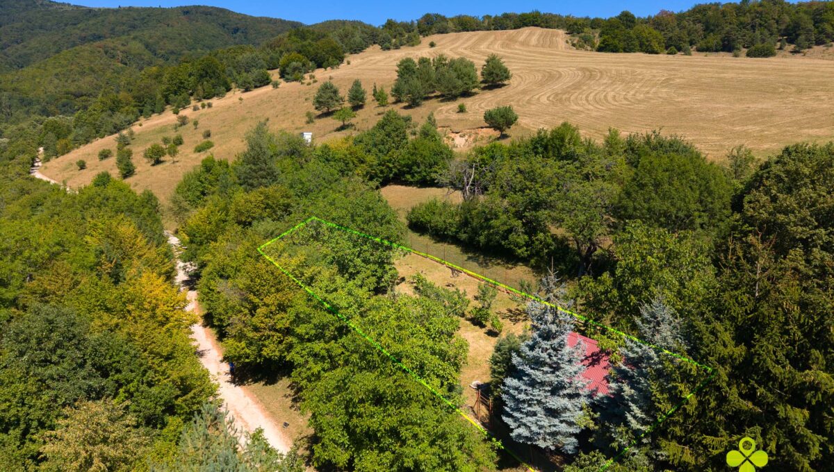 DJI_20260812122821_0321_D-Edit