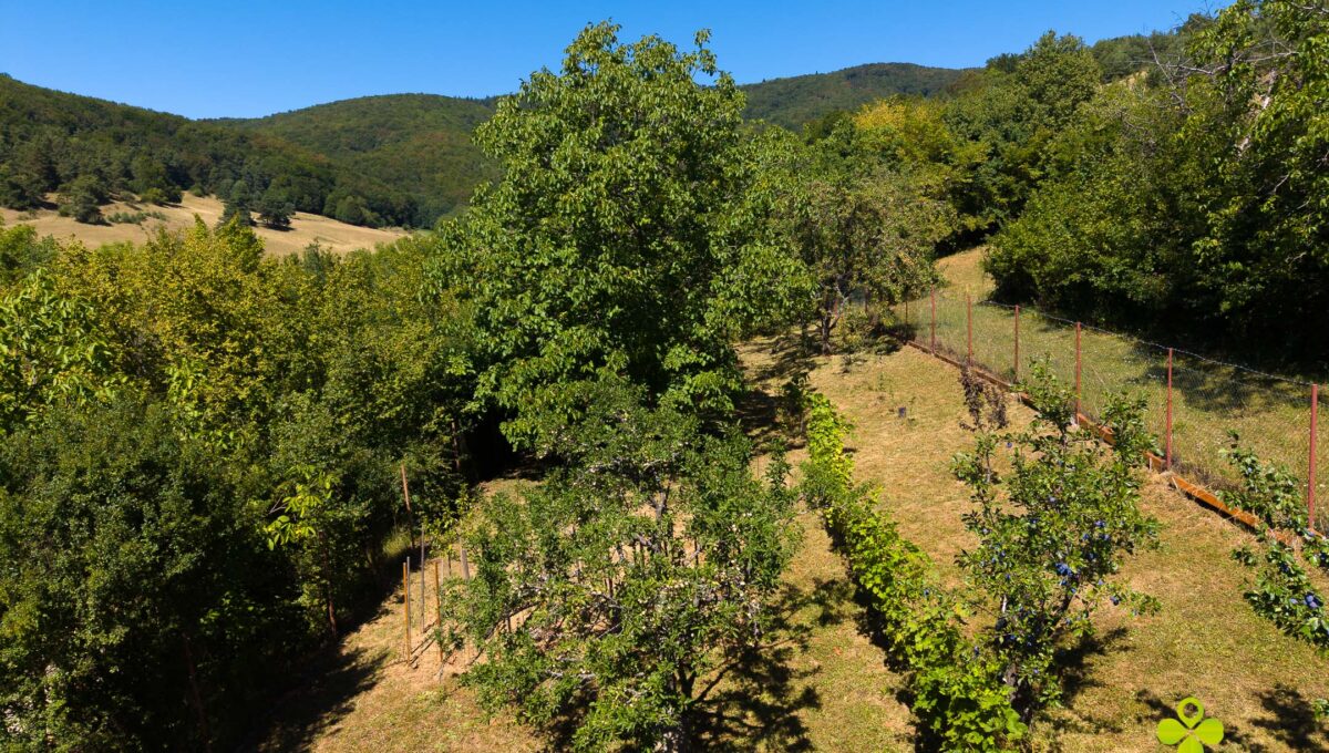 DJI_20260812122840_0322_D