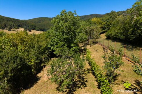 DJI_20260812122840_0322_D
