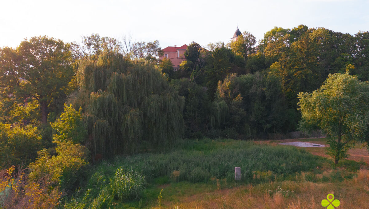 DJI_20260816164058_0374_D