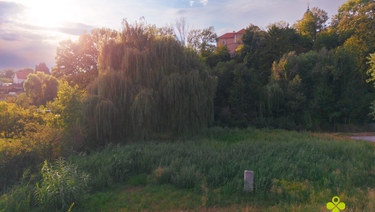 DJI_20260816164104_0375_D