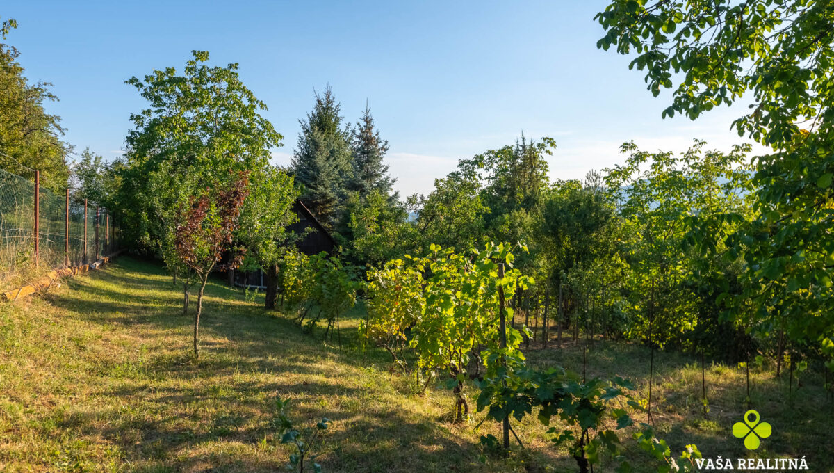 DSC_6800-HDR
