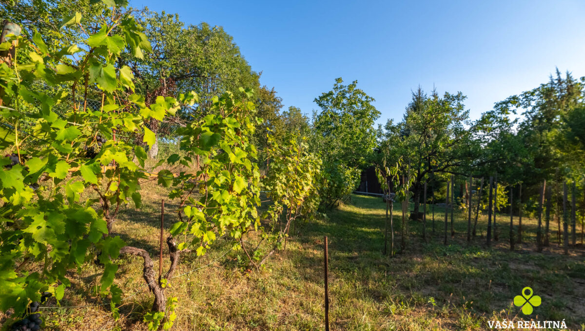 DSC_6820-HDR