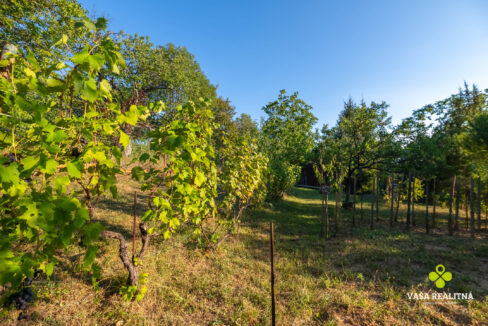 DSC_6820-HDR